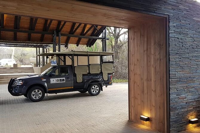 Private Morning Game Drive From Hazyview L Kruger National Park - Participation Requirements