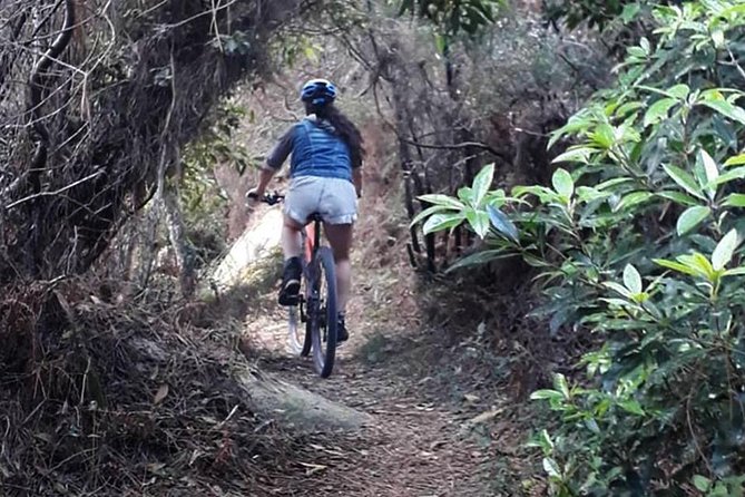 Private Mountain Biking Adventure in Sintra Cascais Park - Getting to the Meeting Point