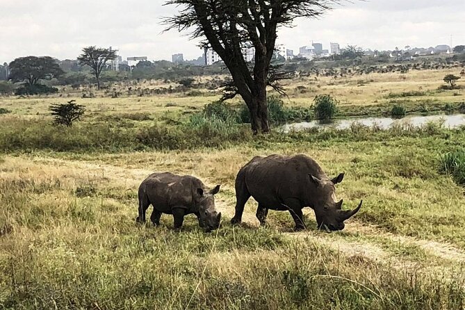 Private Nairobi National Park Day Tour - Tour Accessibility