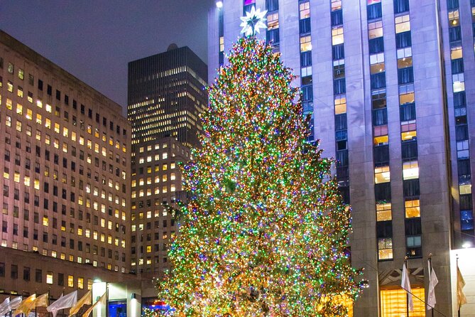 Private New York Christmas Tour With Driver and Guide - Reviews and Feedback