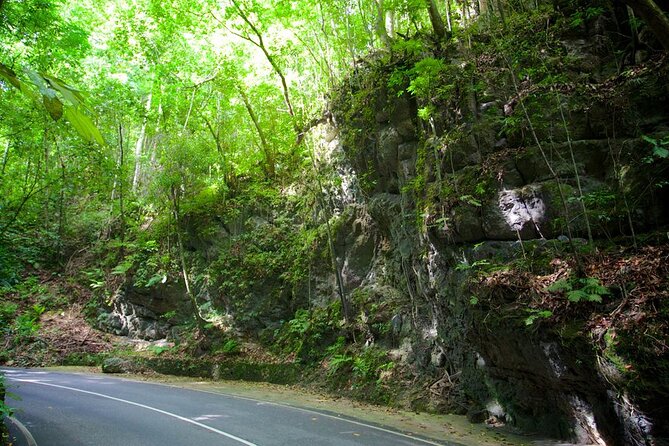 Private Ocho Rios Tour With Dunns River Falls and Lunch - Additional Information