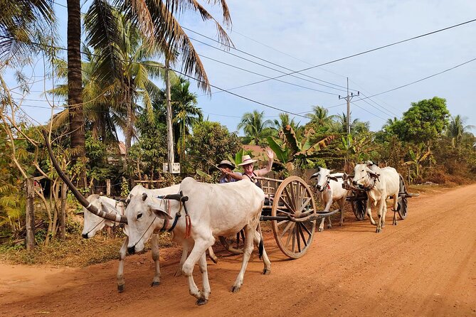 Private Oxcart Ride and Local Village Tour With Cooking Class - Pickup and Transportation