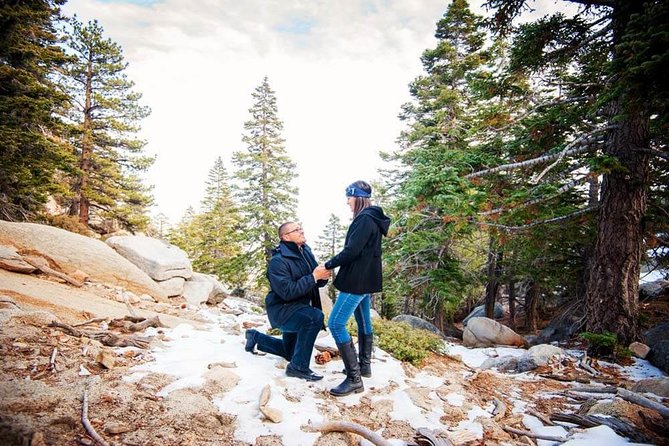 Private Photo Session With a Local Photographer in Palm Springs - Accessibility and Participation