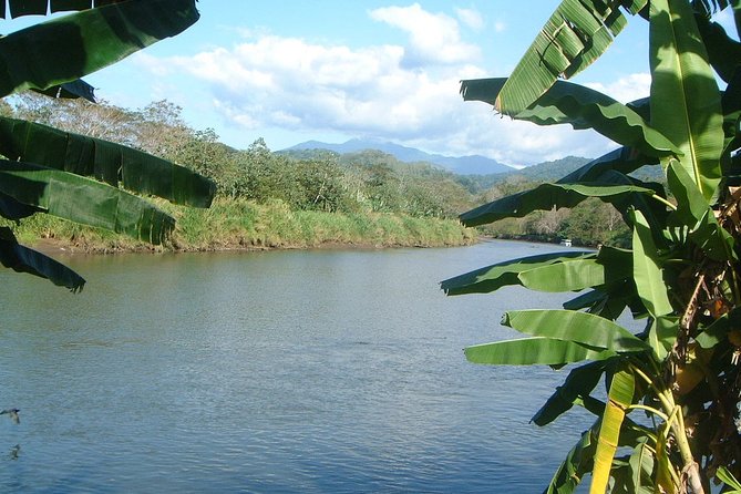 Private Puntarenas Shore Excursion: Tarcoles River Boat Tour at the Jungle - Carara National Park Ecosystem