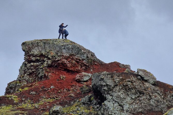 Private Reykjavik City Tour - Taking in Local Culture