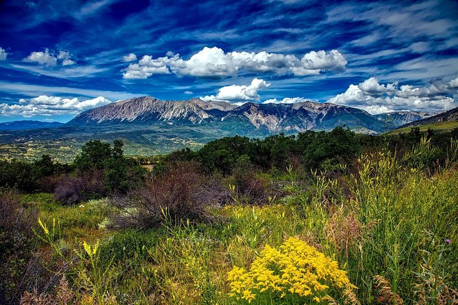 Private Rocky Mountain National Park Tour From Denver - Pickup Locations and Times