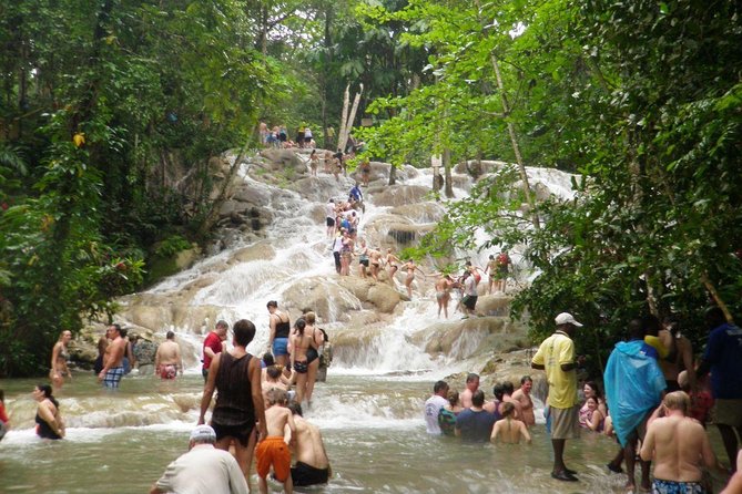 Private Round Trip Transfer to Dunns River Climb and Zipline Over the Falls! - Reviews and Feedback