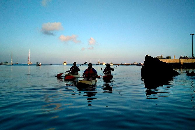 Private Sea Kayaking in Cascais Bay, Lisbon: Glide & Explore! - Skill Level and Instruction