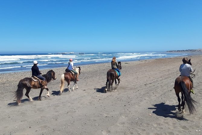 Private Shore Excursion From Valparaiso: Beach Horseback Ride & Viña Del Mar - Tour Duration and Timings