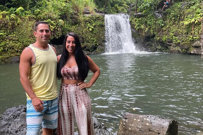 Private Shore Excursion: The Best of Maui - Accessibility Features