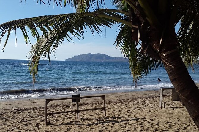 Private Shuttle Service From Liberia Airport To Tamarindo - Getting to Your Destination