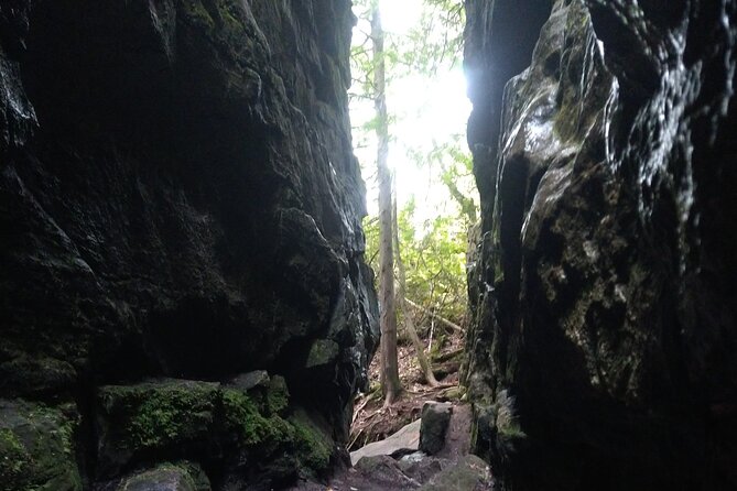 Private Singhampton Caves Hiking Tour, Collingwood/Blue Mountain - Health and Accessibility