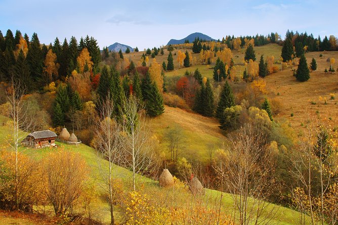 Private Six Days Tour to Maramures and Bucovina From Cluj-Napoca - Tour Group Size
