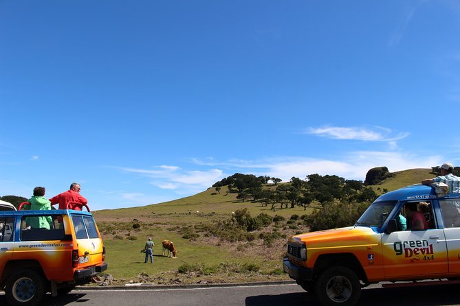 Private Small Group Full Day 4x4 Tour in Northwest Madeira - Participant Information