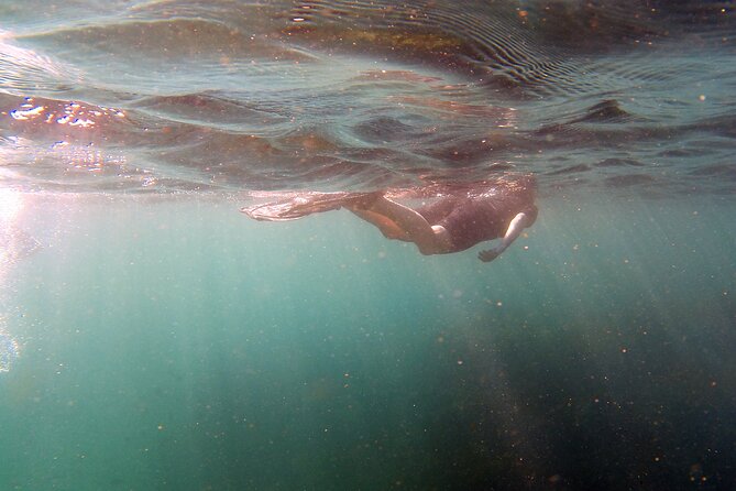 Private Snorkeling Boat Tour in San Jose Del Cabo - Logistics and Transportation