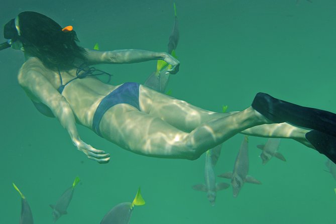 Private Snorkeling Tour in Cabo San Lucas - Booking and Cancellation