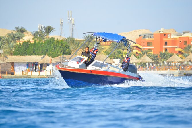 Private Speed Boat to DOLPHINS House & Water Activities -Hurghada - Guest Testimonials and Recommendations