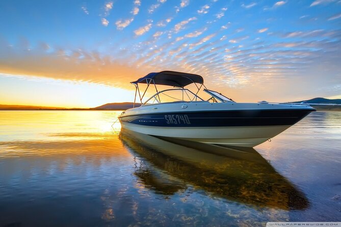 Private Speed Boat Tour and Dolphin Encounter at Ile Aux Benitier - Pickup and Transportation