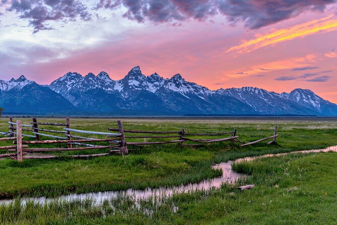 Private Sunset Wildlife Dinner Safari From Jackson WY - What to Expect: Dinner and Wildlife