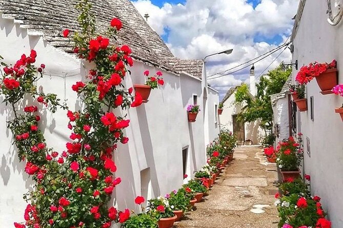 Private Tour Alberobello, Locorotondo With Wine Tasting - Participant Details