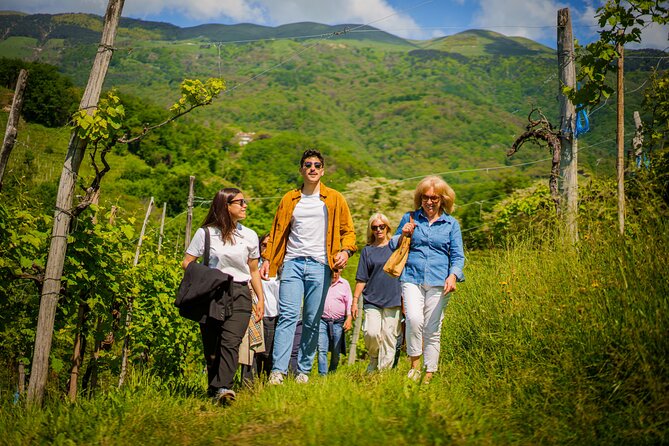Private Tour and Goblet Walking in the Valdobbiadene Vineyards - Meeting and End Point