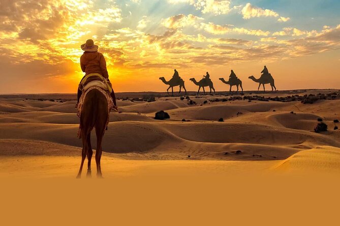 Private Tour at Desert Safari With Camel Ride & BBQ Dinner - Camel Riding Experience