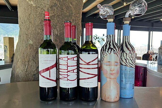 Private Tour at Maturana Wines and VIK Winery With Lunch - VIK Winery Tour and Tastings