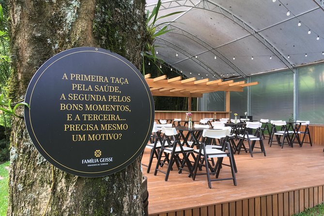 Private Tour Cave Geisse + 2 Wineries From Pinto Bandeira RS - Geisse Cave Exploration