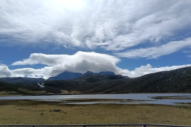 PRIVATE Tour, Cotopaxi, Natural Wonders - Professional Guide Expertise