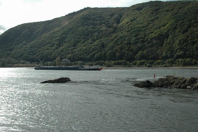 Private Tour: Customizable Rhine Valley Day Trip From Frankfurt - Reviews and Feedback