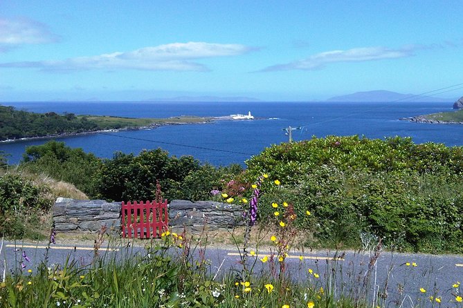 Private Tour Dingle Ring & Slea Head Drive - Pickup and Meeting Points