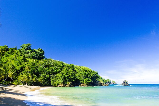 Private Tour Englishmans Bay From Tobago - Tour Participation