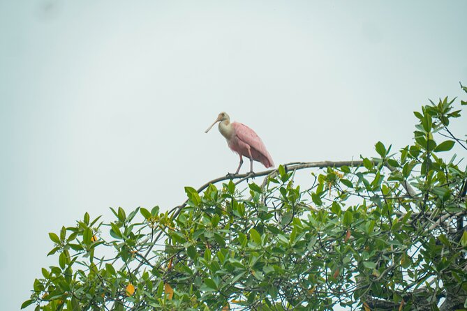 Private Tour From Guayaquil to Churute Ecological Reserve - Health and Accessibility