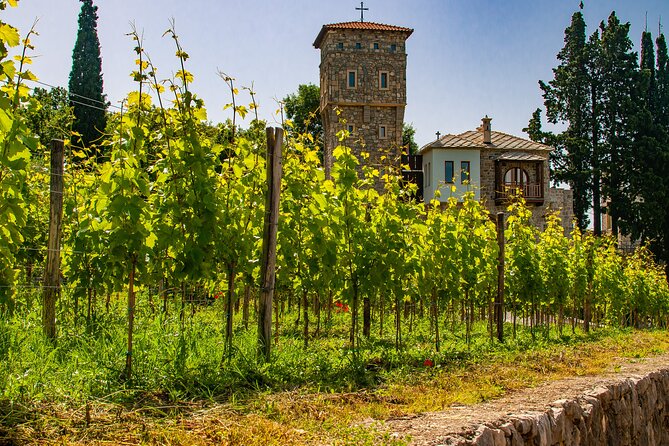Private Tour From Montenegro: Trebinje & Tvrdos Monastery W/ Wine & Food Tasting - Additional Information