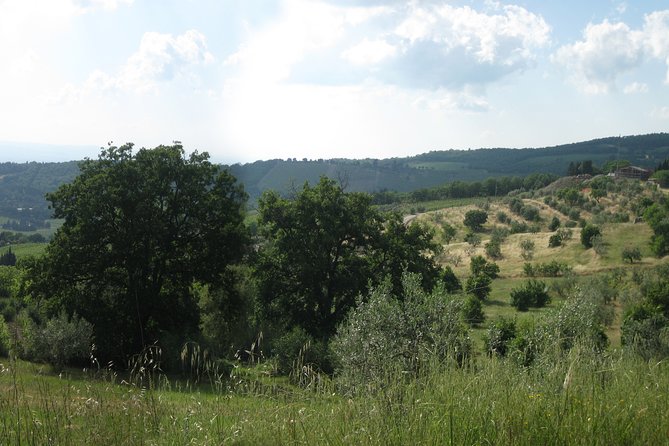 Private Tour: Guided Hike in Tuscany With Transport From Siena - Physical Requirements and Accessibility
