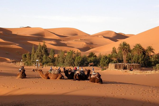 Private Tour Imperial Cities of Morocco From Casablanca 6 Days & 5 Nights - Participant Information