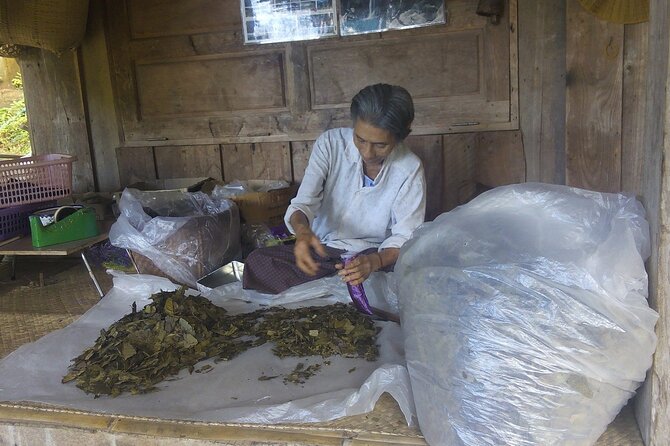 Private Tour in Chiang Mai Village Experience Nature - Transportation Details