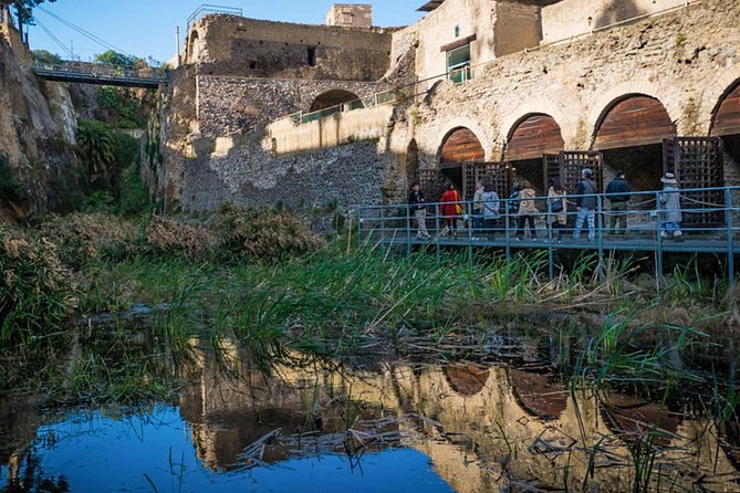 Private Tour in Herculaneum for Families From Naples - Tour Requirements and Accessibility