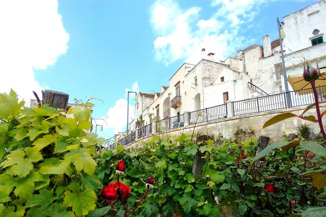 Private Tour in the Itria Valley - Tour Schedule