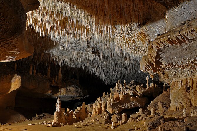 Private Tour Into an Original Prehistoric Cave by EXPLOREO SARLAT - Knowledgeable Tour Guides