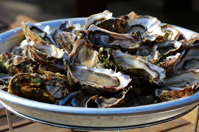 Private Tour: Mali Ston Day Trip With Oyster Tasting From Dubrovnik - Health and Safety Information