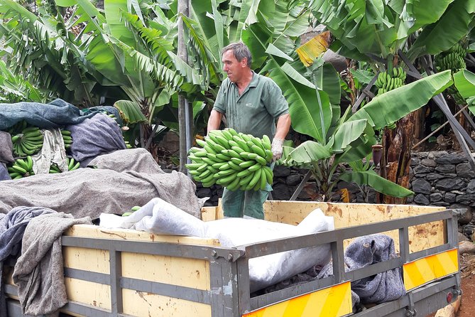 Private Tour of Banana Farm From Funchal - Pickup Convenience