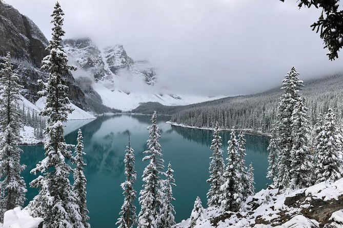 Private Tour of Lake Louise and the Icefield Parkway for up to 12 Guests - Traveler Experiences and Reviews