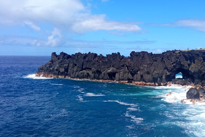 Private Tour of Reunion Island With a Driver Guide - Accessibility Features