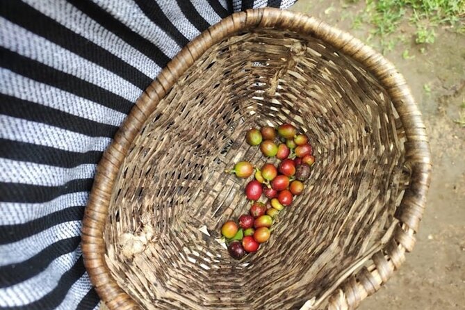 Private Tour of Salento Cocora Valley and Finca Luguer Coffee - Coffee Tasting at Cafe Jesus Martin