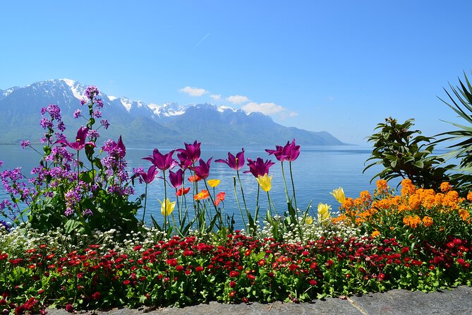 Private Tour of the Best of Geneva - Sightseeing, Food & Culture With a Local - Experiencing the Local Art Scene