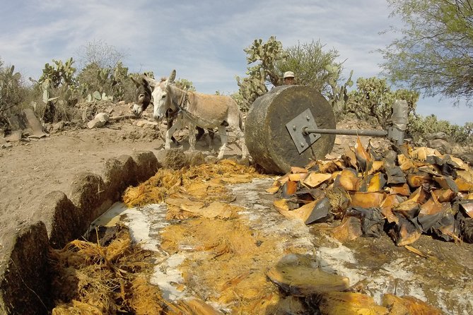 Private Tour of the Mezcal Route With Ancestral Drinks - Traveler Recommendations and Reviews