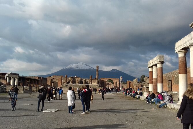 Private Tour of the Pompeii Excavations - Accessibility and Participation