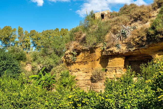 Private Tour of the Valley of the Temples & Kolymbethra in Sicily - Meeting Point and Pickup Logistics