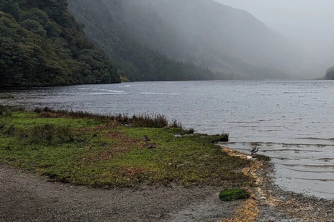 Private Tour of Wicklow, Glendalough & Powerscourt Gardens - Accessibility and Participation Information